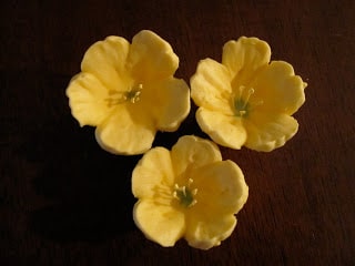 Close up of  piped flowers