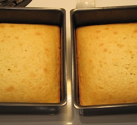 Two cakes in cake pans.
