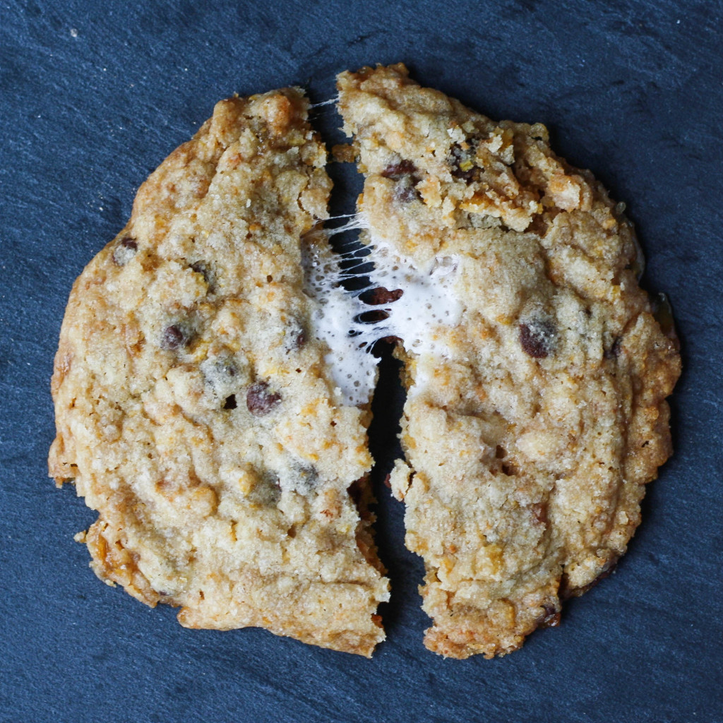 Close up of a cookie broken in half.