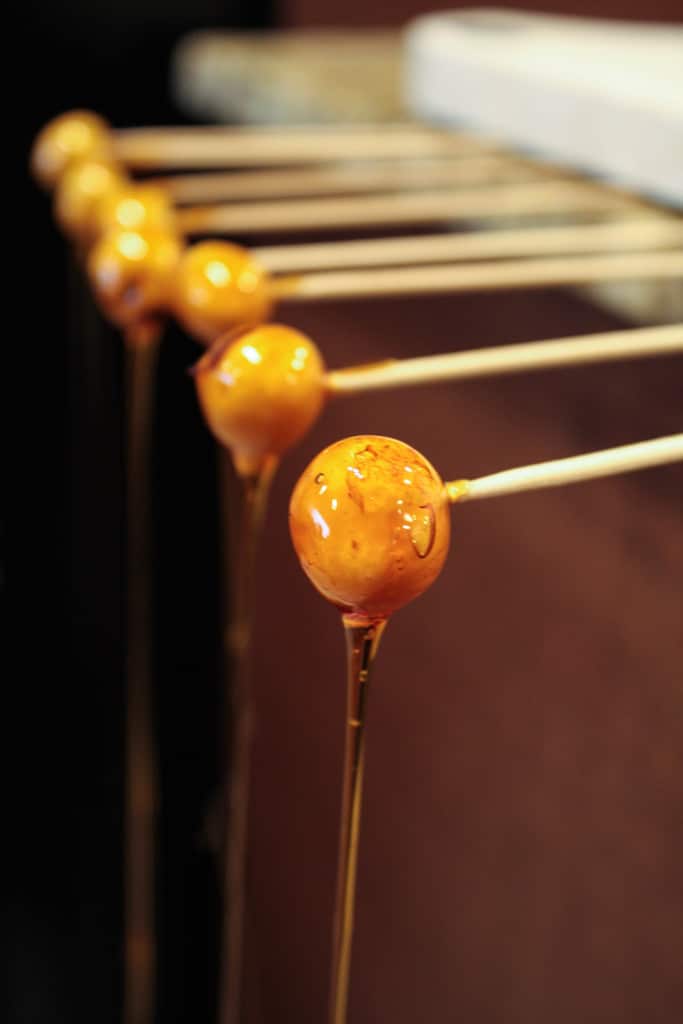 Close up of a candied hazelnut on a skewer.