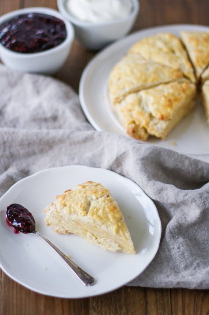 Scone on a plate with a spoonful of jam.
