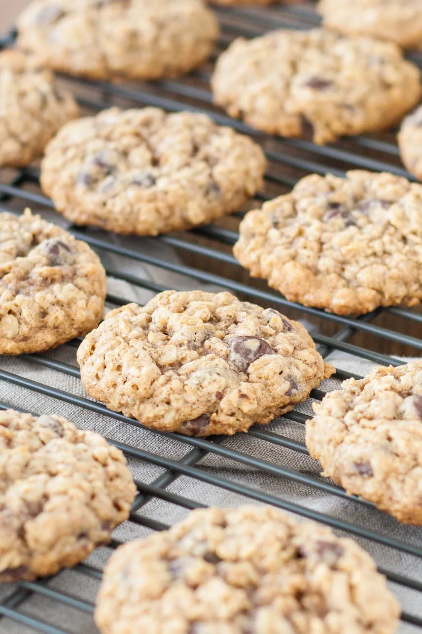Close up of chewy oatmeal chocolate chip cookies.