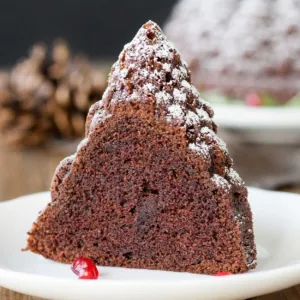 A close up of a piece of chocolate cake on a plate