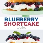 This Blueberry Shortcake Cake is the perfect light dessert for summer. Layers of vanilla cake, whipped cream, blueberry sauce, and fresh blueberries. | livforcake.com