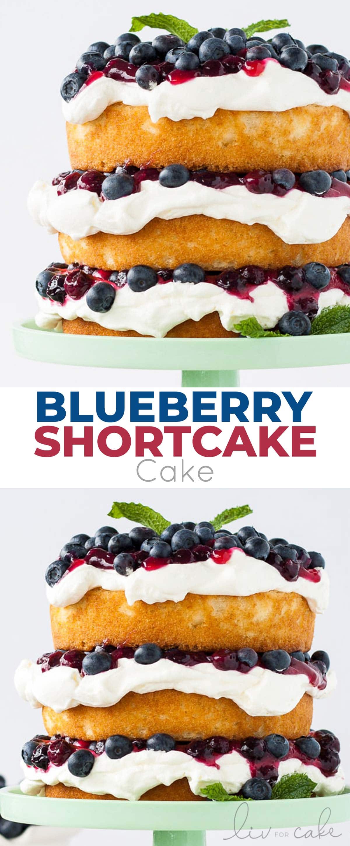 Blueberry Shortcake Cake photo collage.