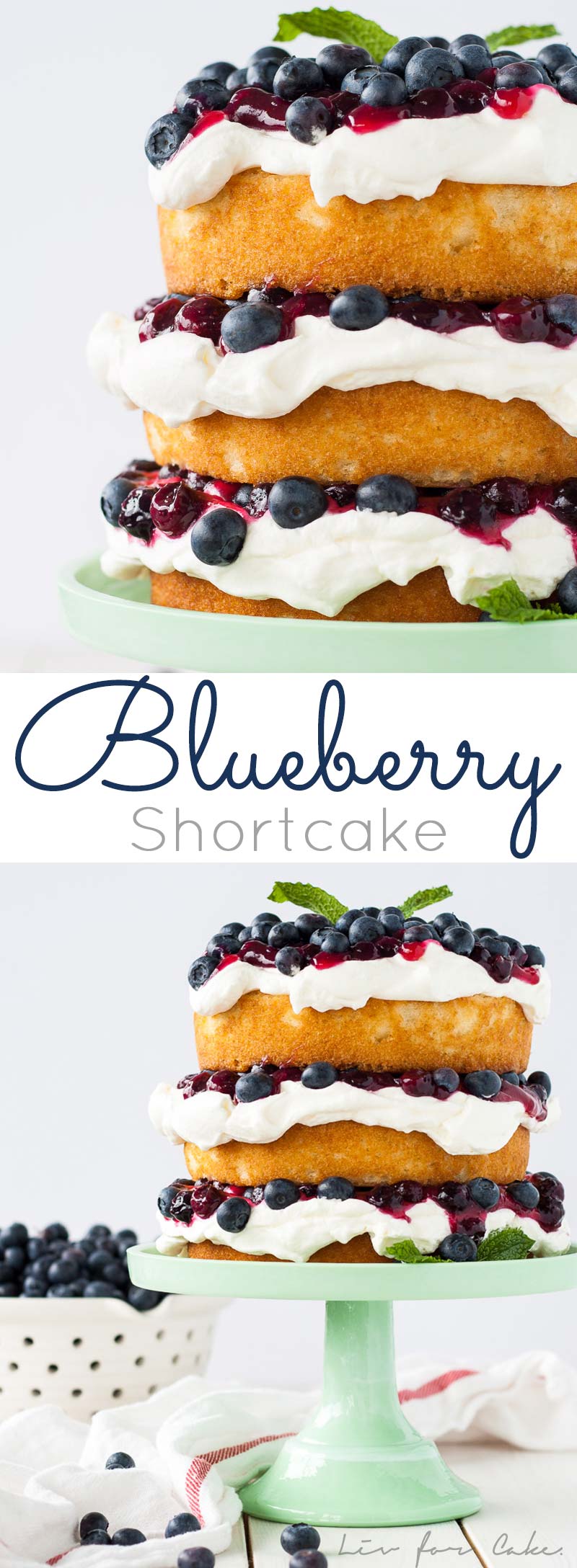 This Blueberry Shortcake is perfectly light dessert for summer. Layers of vanilla cake, whipped cream, blueberry sauce, and fresh blueberries. | livforcake.com