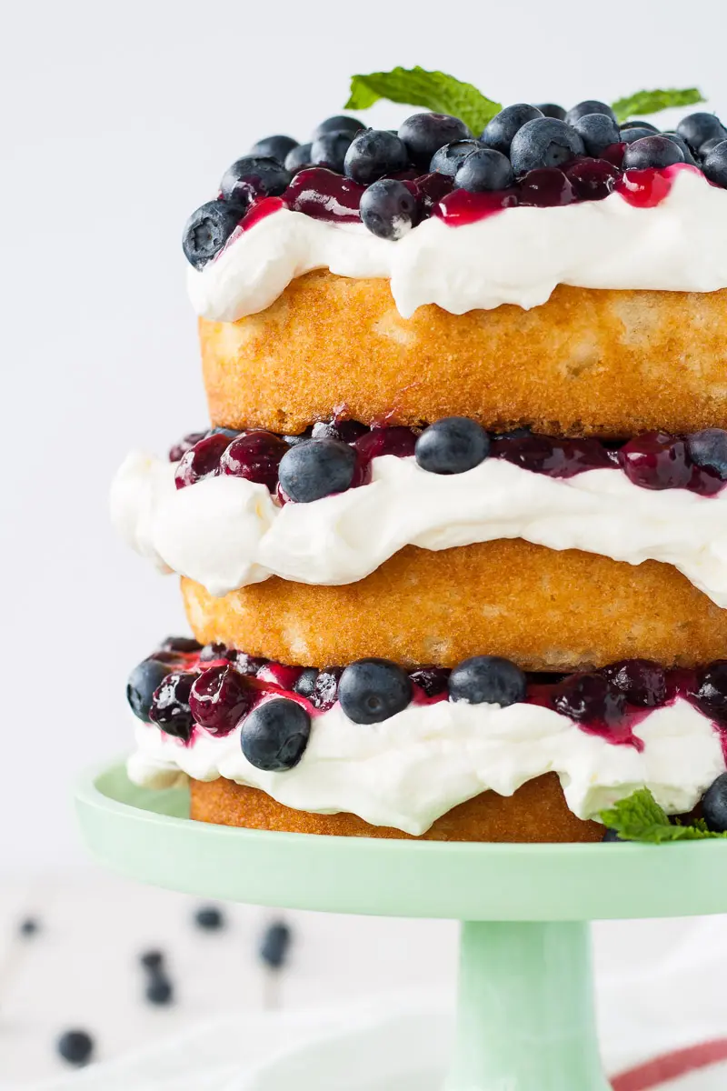 Blueberry Vanilla Ice Cream Cake Recipe | Mommy Evolution