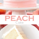 Pretty in Peach! This Peach Cake is the perfect way to make the most of stone fruit season. Vanilla cake layers with a homemade peach filling and peach flavoured frosting. | livforcake.com