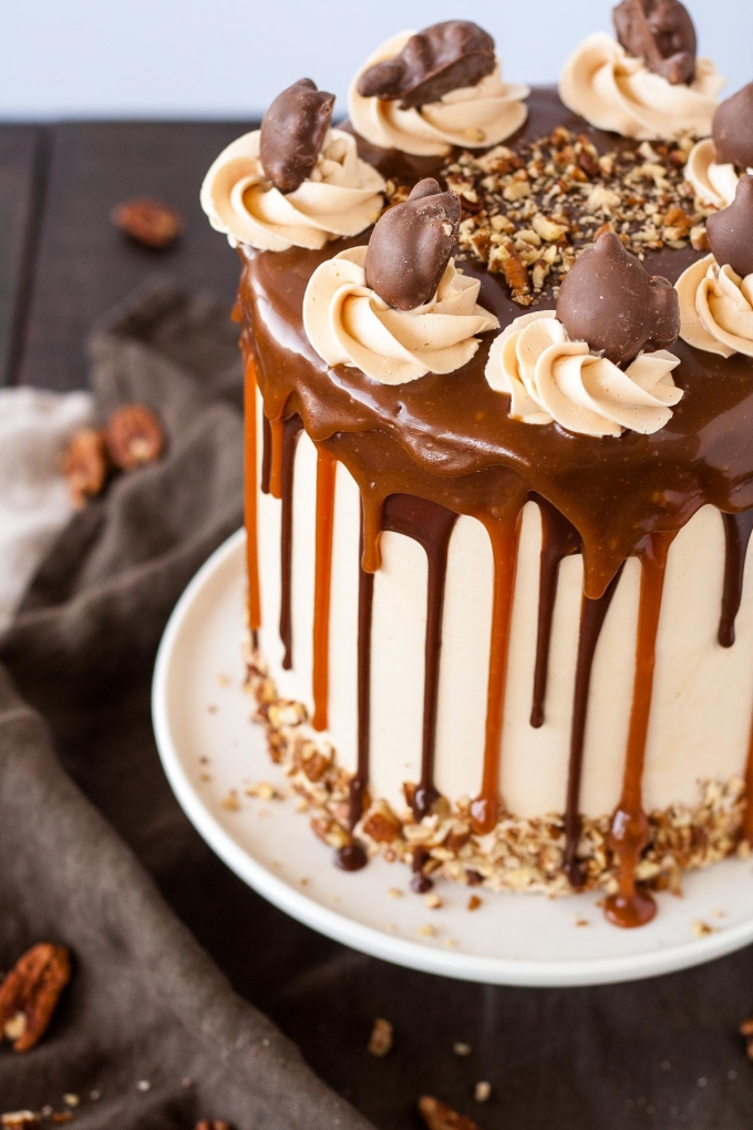 Turtles Cake Liv for Cake