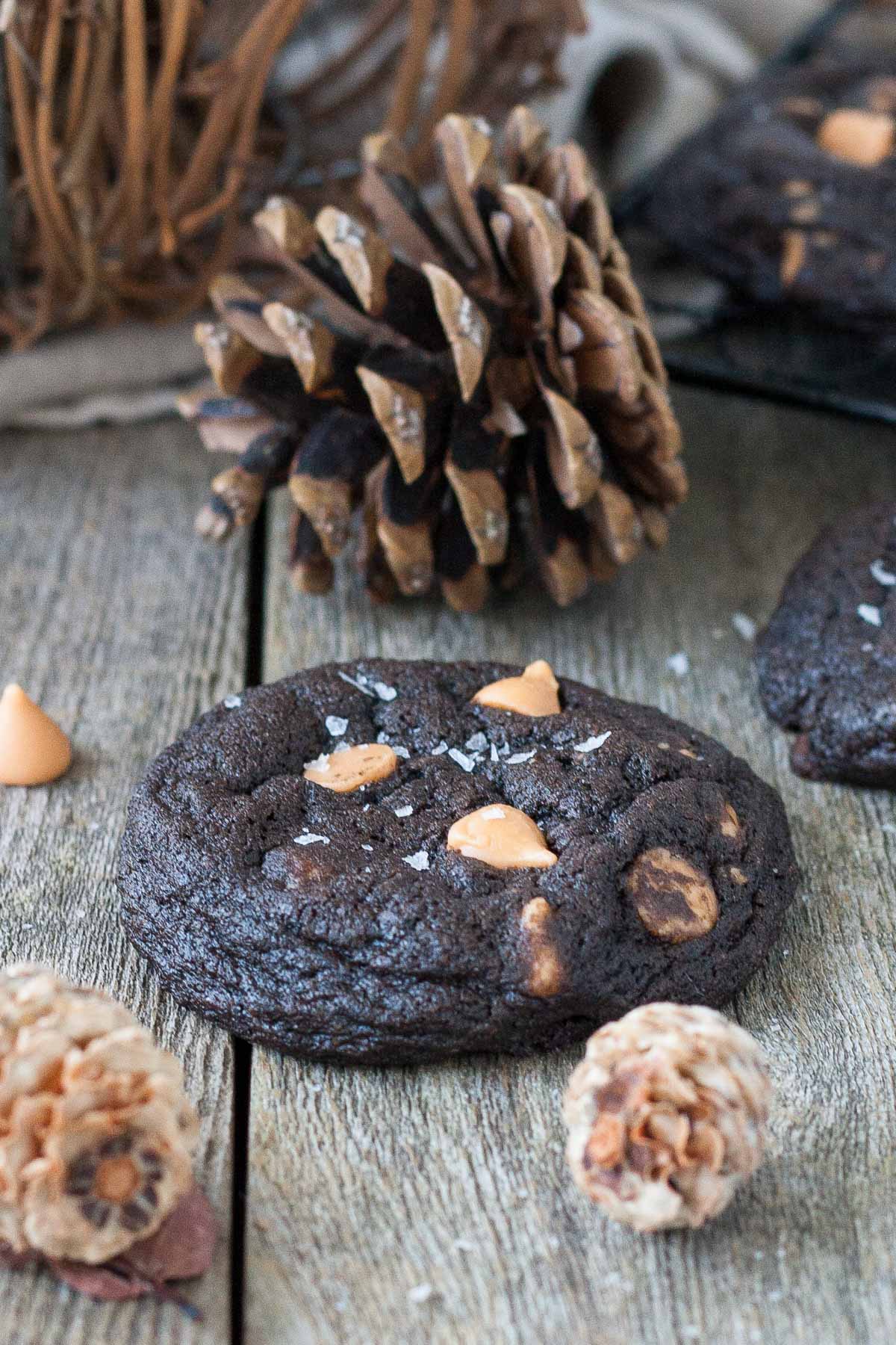 Cookie with salt sprinkled on it and a pine cone in the background.