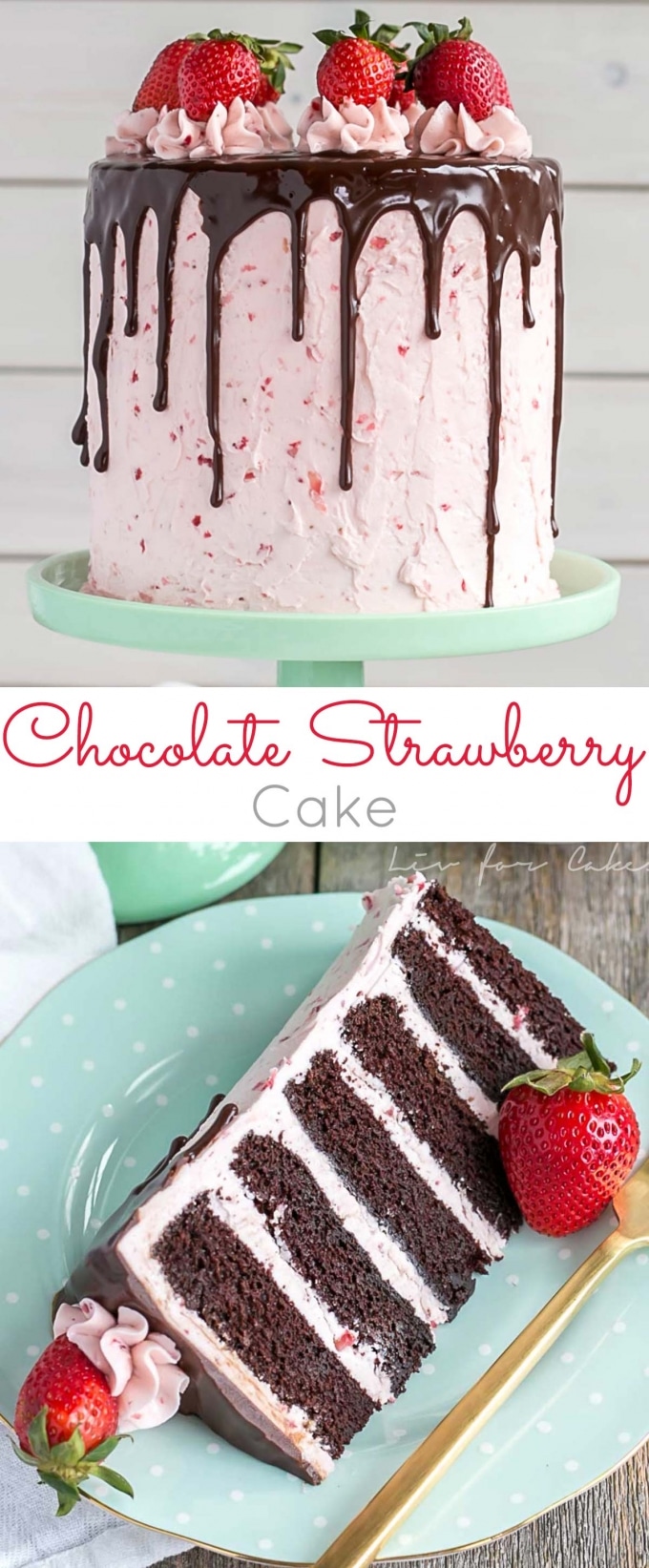 Chocolate Strawberry Cake Liv for Cake