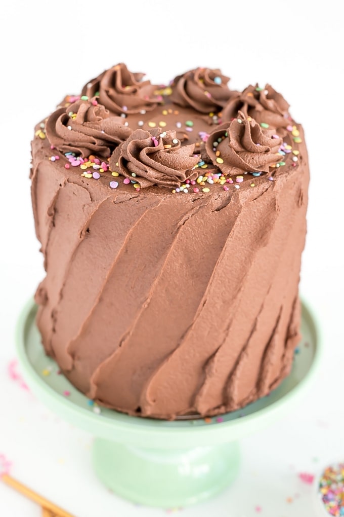 Mississippi Chocolate Chip Cake