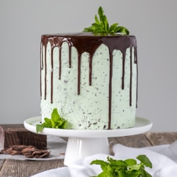 Cake on a white cake stand with mint garnish.