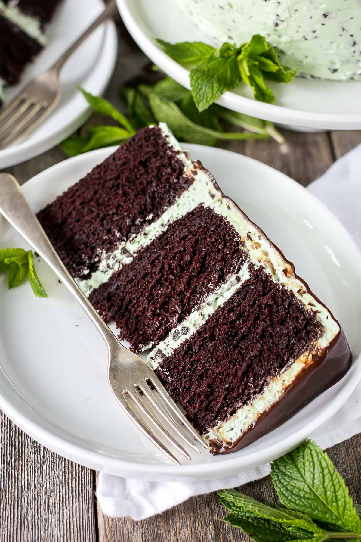 Mint Chocolate Chip Cake Liv For Cake