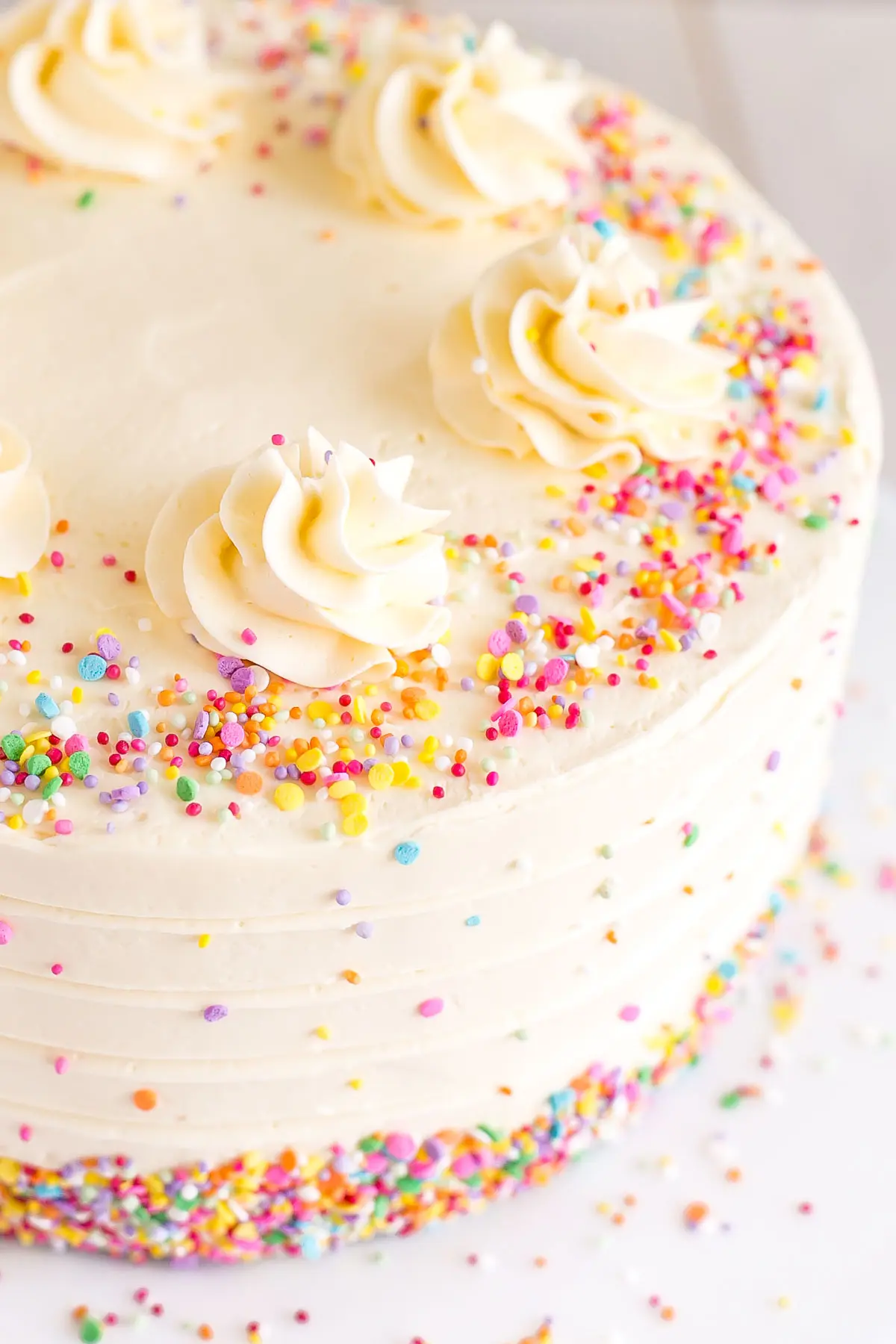 Close up of rosettes on the top of the cake.