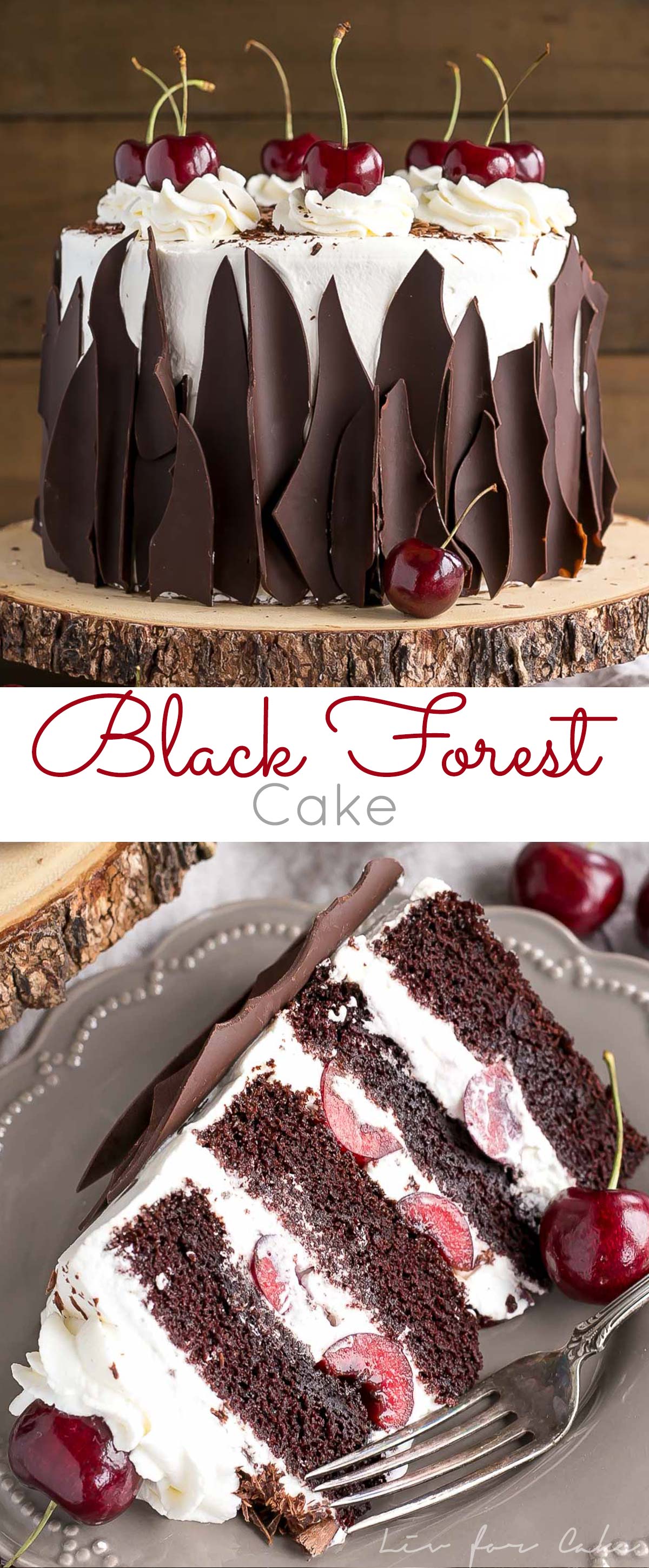 Black forest cake photo collage