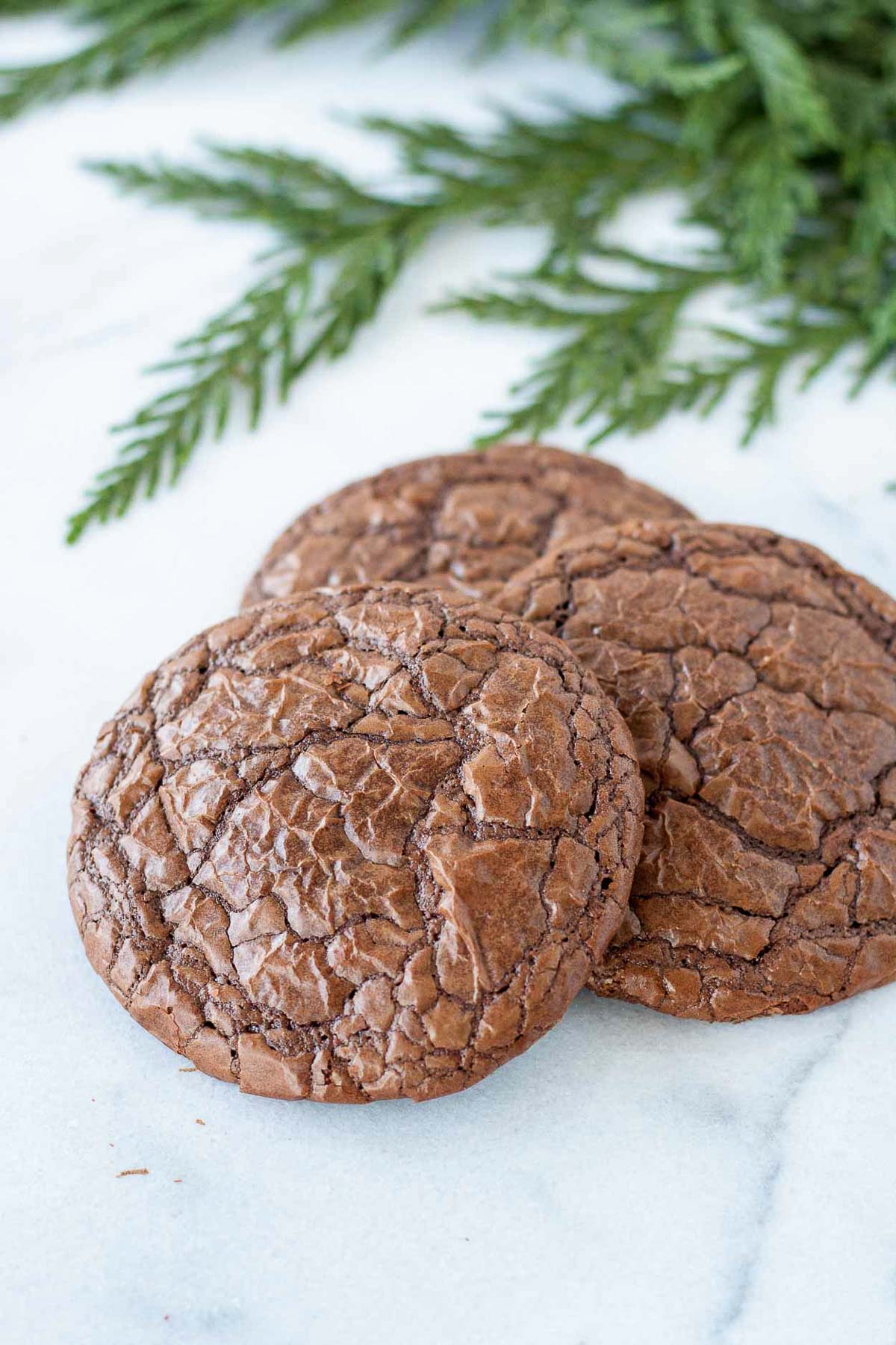 Close up of detail on brownie cookies