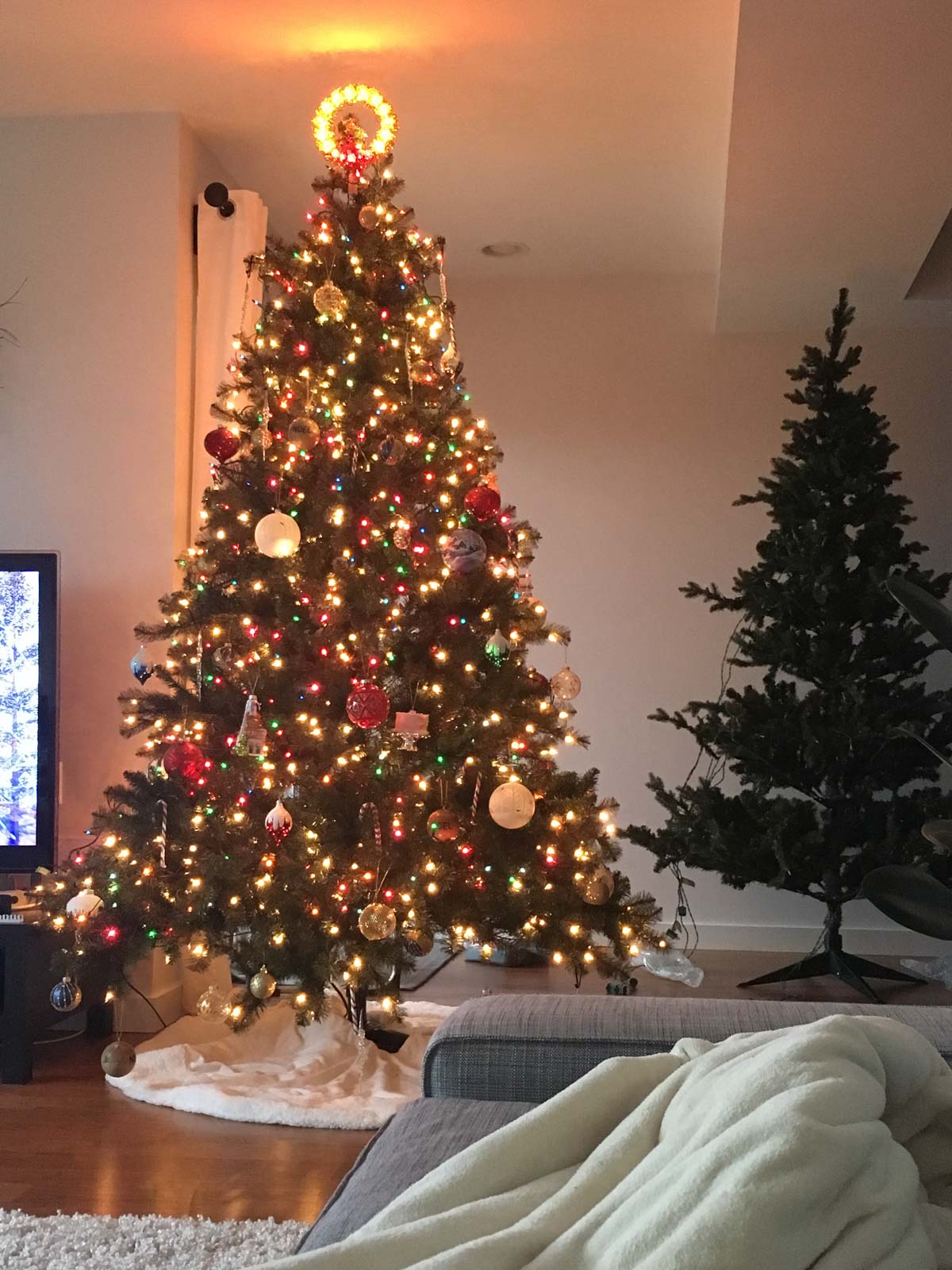 Un árbol de Navidad en una habitación