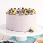 Lemon Blueberry Cake! A moist and delicious lemon cake with fresh blueberries and a blueberry buttercream. | livforcake.com