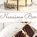 Nanaimo Bar Cake! Chocolate cake layers with a vanilla custard frosting and chocolate coconut crumble. | livforcake.com