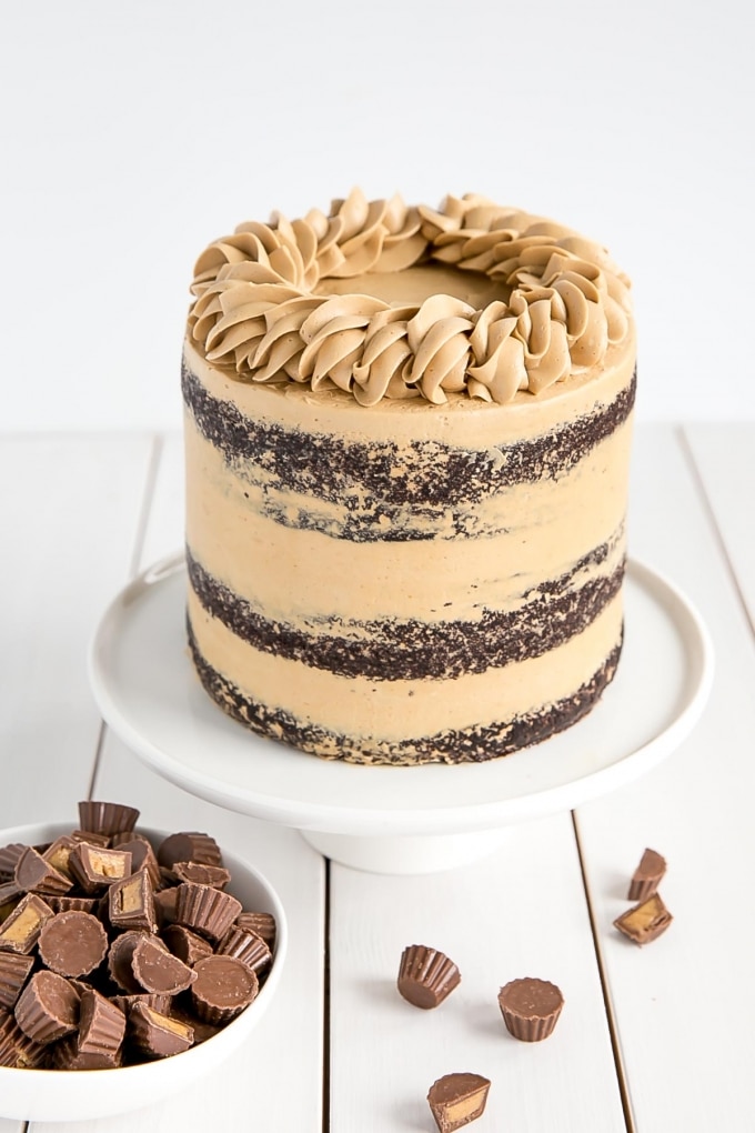 Peanut Butter Chocolate Cake Liv for Cake