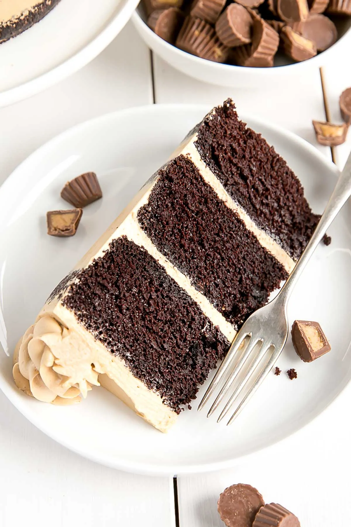 Slice of peanut butter chocolate cake