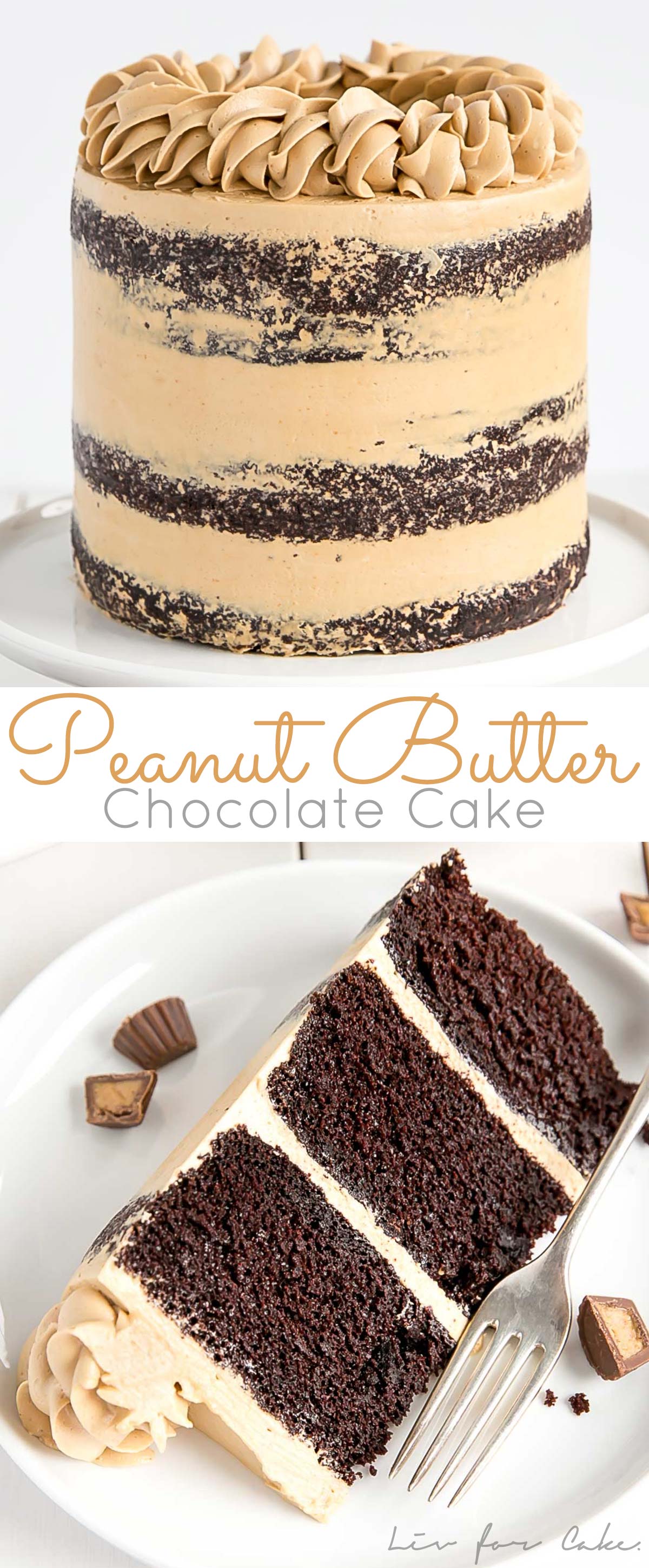 Peanut Butter Chocolate Cake collage