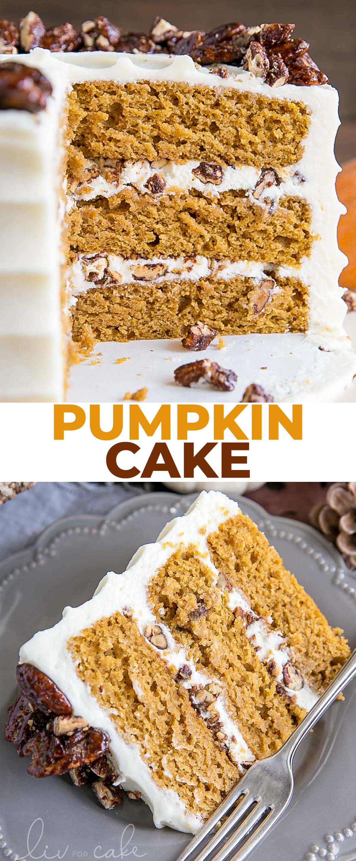 pumpkin cake photo collage