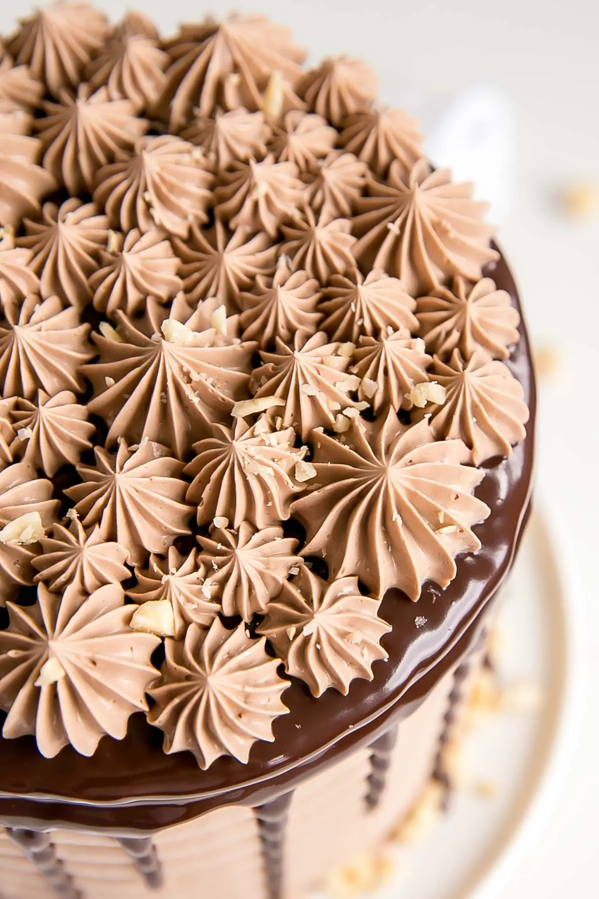 Close up of piping on top of a Chocolate Nutella Cake.