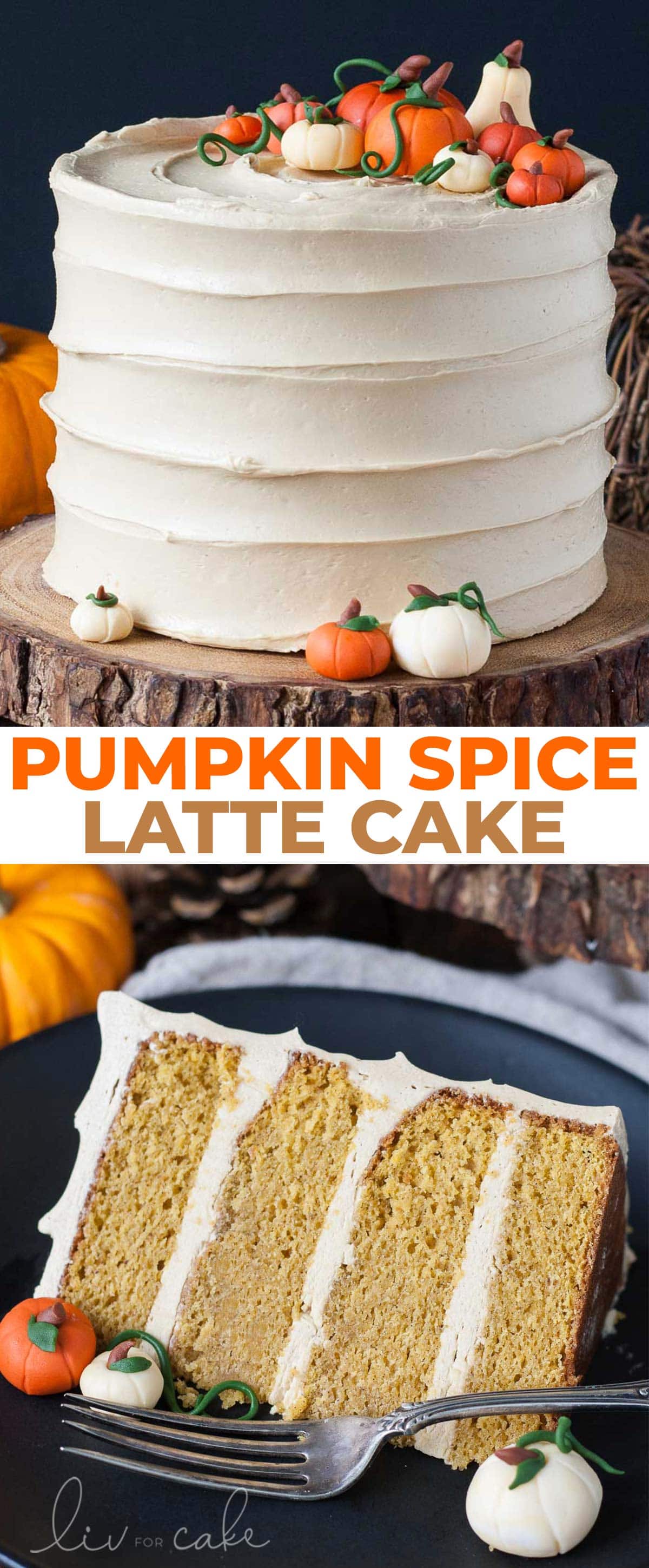 Pumpkin spice latte cake photo collage