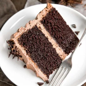 A piece of chocolate cake on a plate