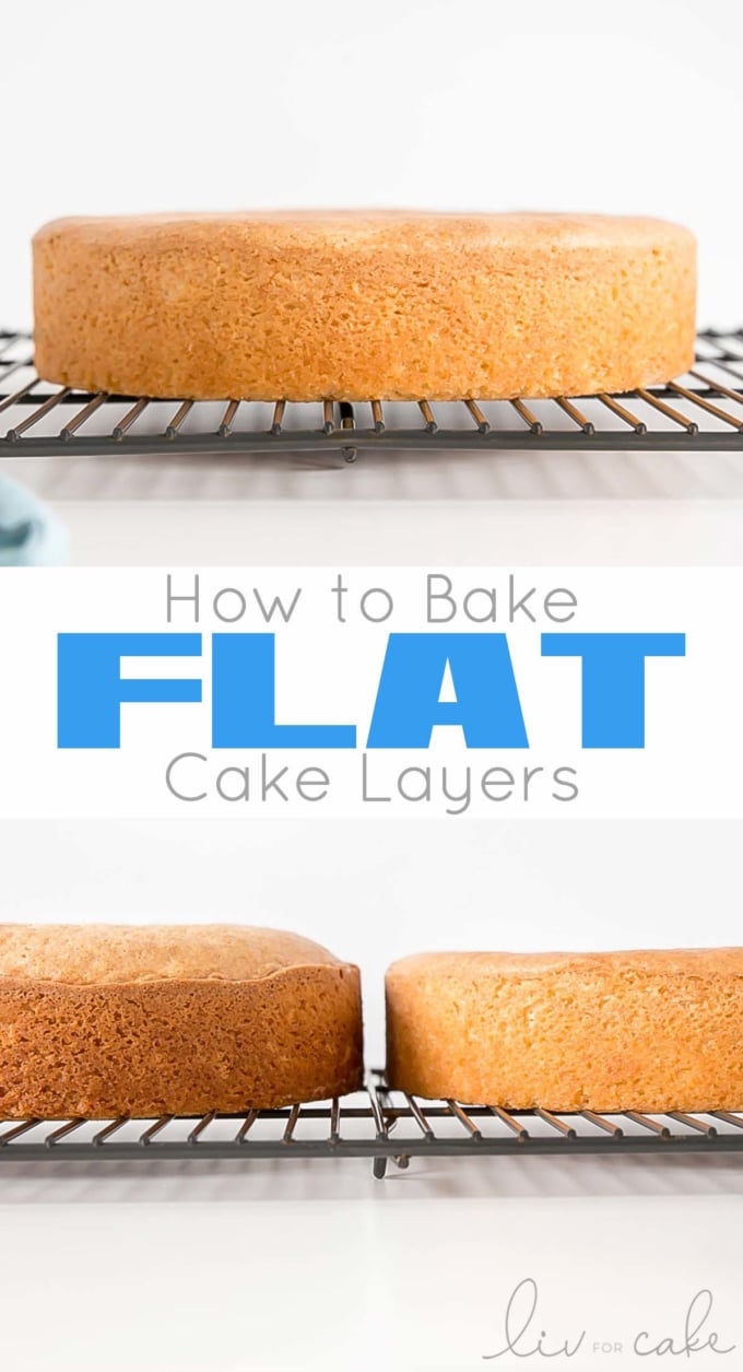 How to Bake Flat Cakes Liv for Cake