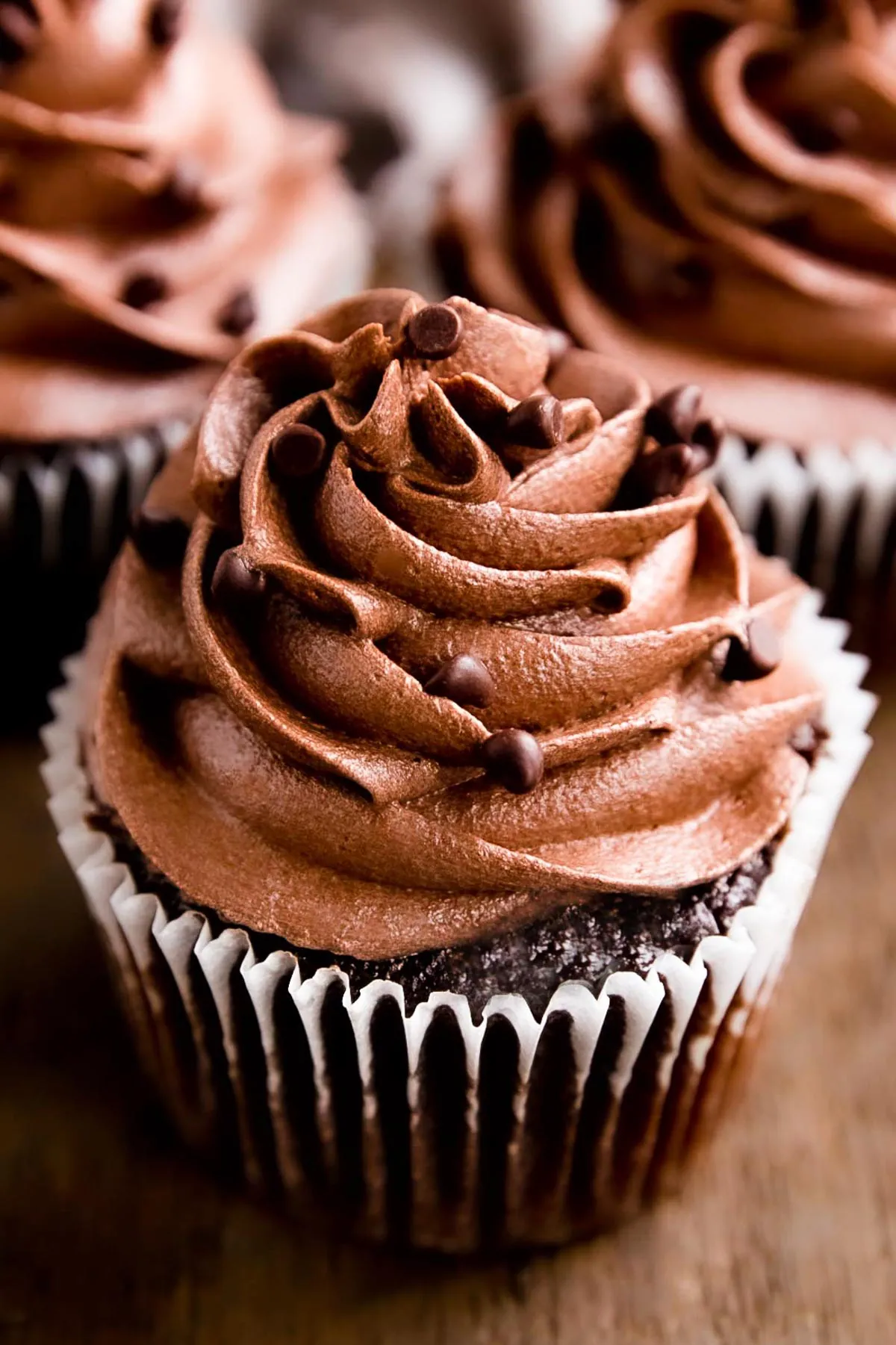 Chocolate cupcake with chocolate buttercream swirl and mini chocolate chips.