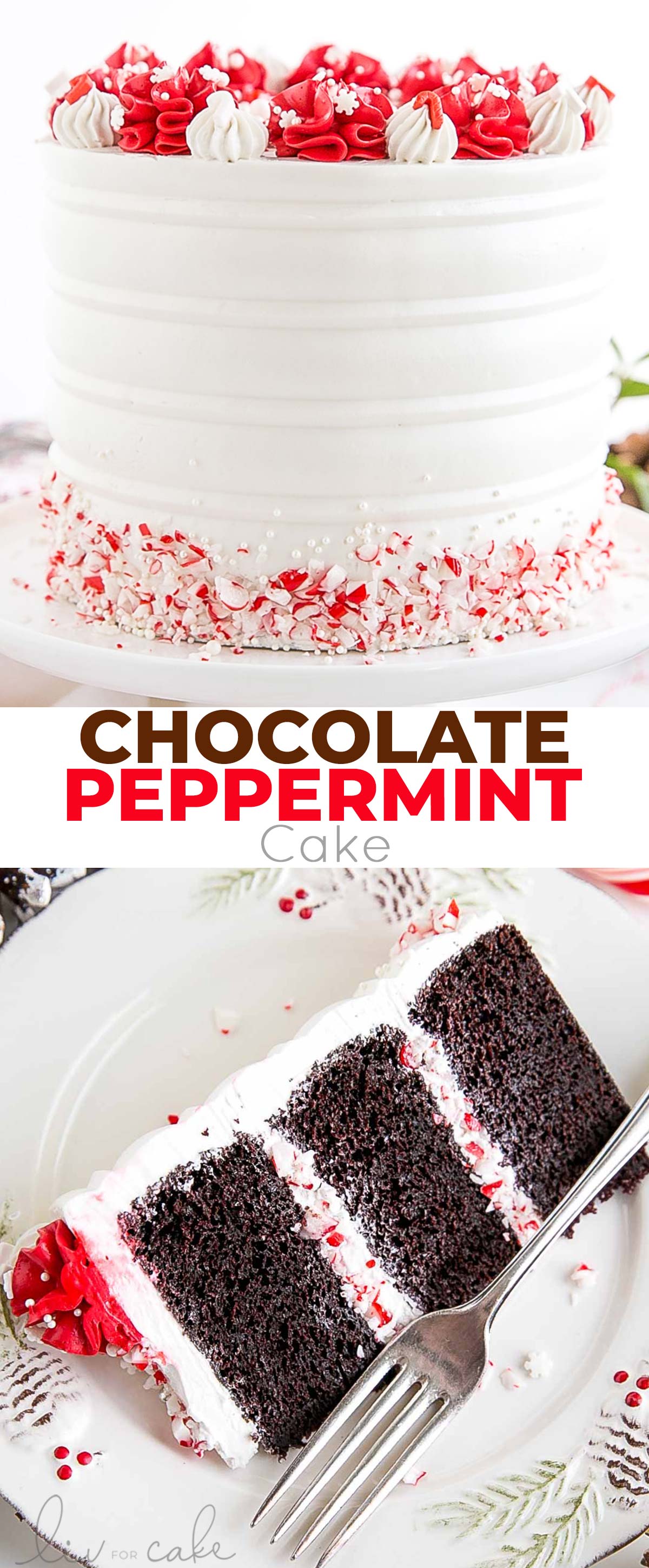chocolate peppermint cake collage